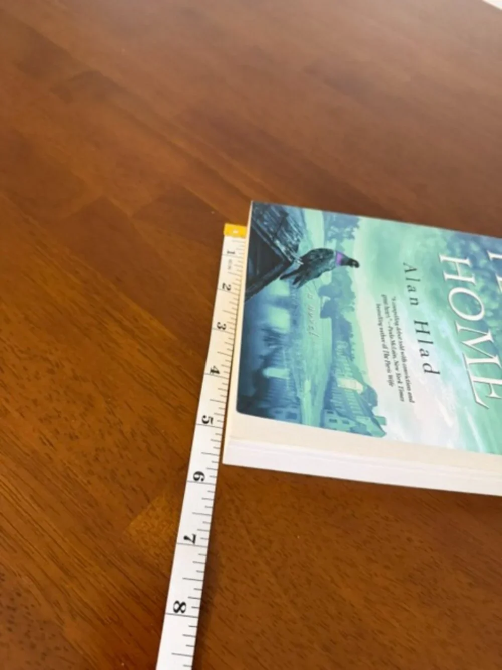 The Long Flight Home by Alan Hlad Historical Fiction Book